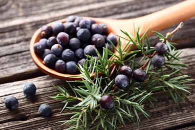 Eterično olje brina čisti telo in okolje