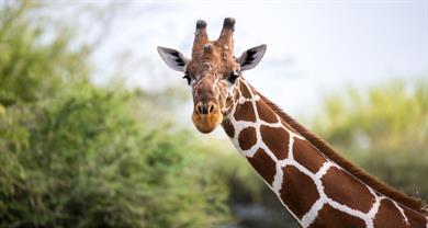 Naravovarstvene dogodivščine v ZOO Ljubljana ob Svetovnem dnevu Zemlje