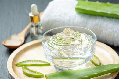 Zdravilna aloe vera - uporabljajte jo!