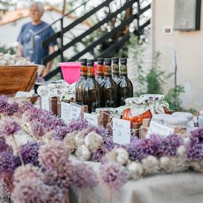Ta vikend na obali: Praznik vina in česna