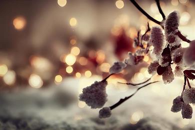 Astrološka napoved po znamenjih: Kaj vas čaka ta teden (6. 1. - 12. 1. 2025)?