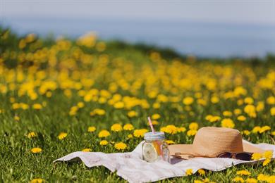 Astrološka napoved po znamenjih: Kaj vas čaka ta teden (2. - 8. 6. 2025)?