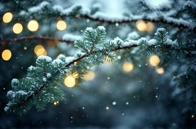 Astrološka napoved po znamenjih: Kaj vas čaka ta teden (15. - 21. 12. 2025)?