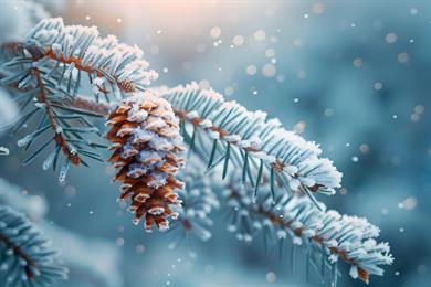 Astrološka napoved po znamenjih: Kaj vas čaka ta teden (19. - 25. 1. 2026)?