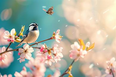 Astrološka napoved po znamenjih: Kaj vas čaka ta teden (9. - 15. 3. 2026)?