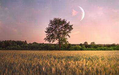 Astrološka napoved po znamenjih: Kaj vas čaka ta teden (13. - 19. 7. 2026)?
