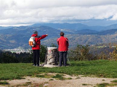 Osteoporoza: Kako jo preprečiti?