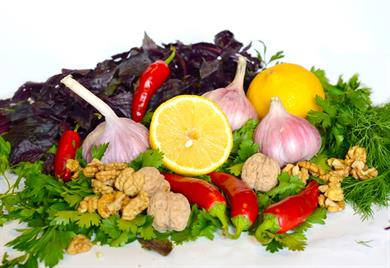 Zdravi organ, kateremu je podobna!