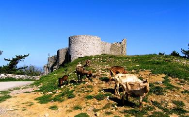 IDEJA ZA IZLET: Vasice Kraškega roba