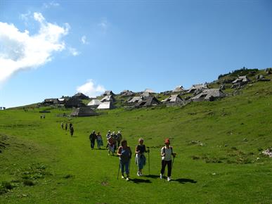 IDEJA ZA IZLET: Velika planina