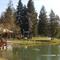 IDEJA ZA IZLET: Bloško jezero