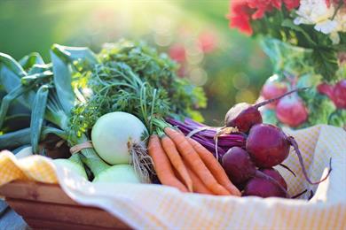 Najmočnejših 5 živil, ki jeseni ne smejo manjkati na vašem krožniku