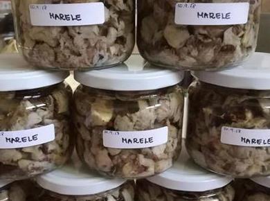 Nasvet bralke: Vložene marele