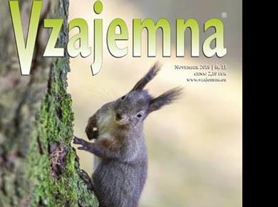 Ne spreglejte novembrske Vzajemne