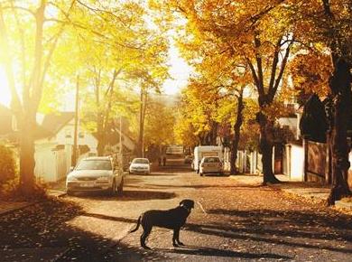 KOLUMNA: Kandidati za župane in njihove predvolilne resnice