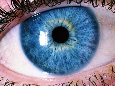Vaše oči lahko razkrijejo začetek hude bolezni