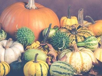 Buče blagodejno vplivajo na ledvice, mehur in prostato